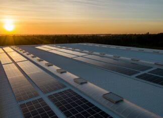 Paneles solares