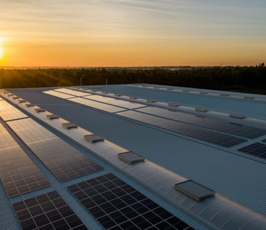 Paneles solares