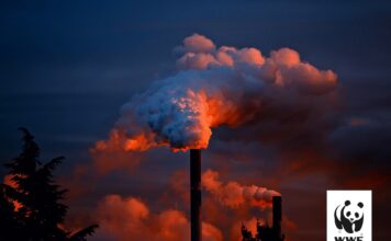 WWF critica medidas de la UE
