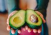 Cultivo de aguacates