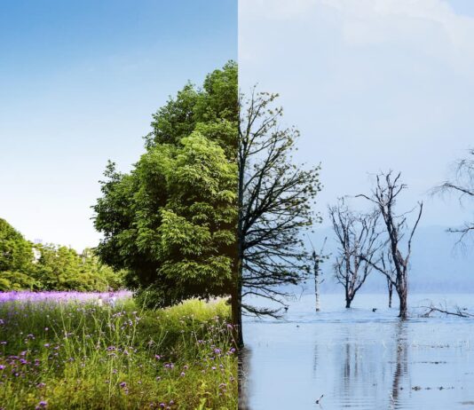 Compromisos climáticos globales