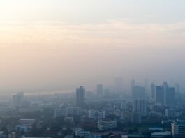 Contaminación del aire: alerta de la OMS por 7 millones de muertes
