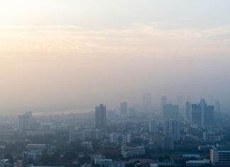 Contaminación del aire: alerta de la OMS por 7 millones de muertes