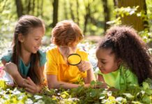 Educación ambiental en 2025