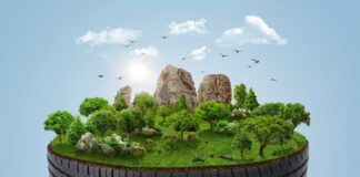 ¿Qué son las llantas ecológicas y cómo funcionan?