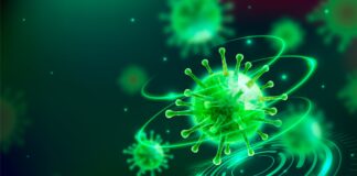 Micotoxinas y cambio climático