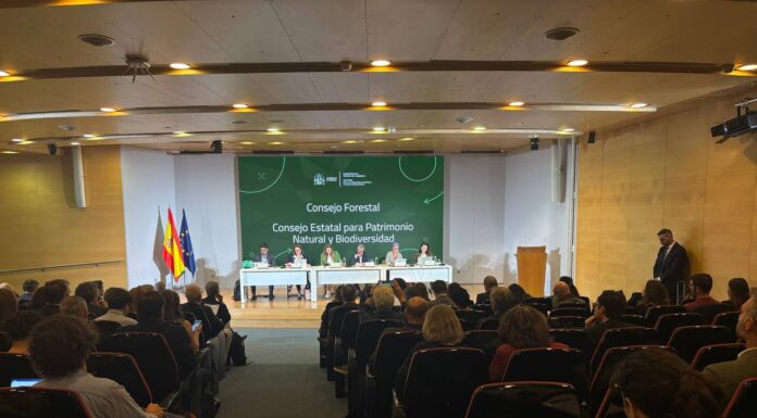 España impulsa una inversión histórica en restauración ecológica y biodiversidad