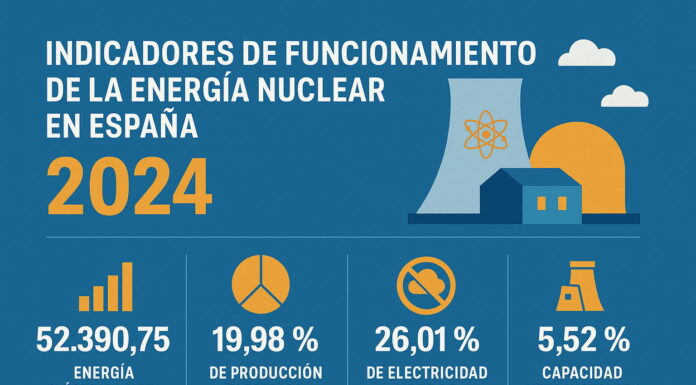 Indicadores de funcionamiento de la energía nuclear en España 2024. Centrales nucleares