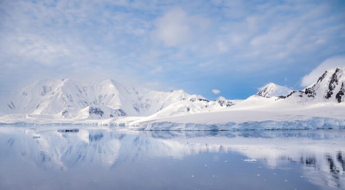 Corriente Circumpolar Antártica
