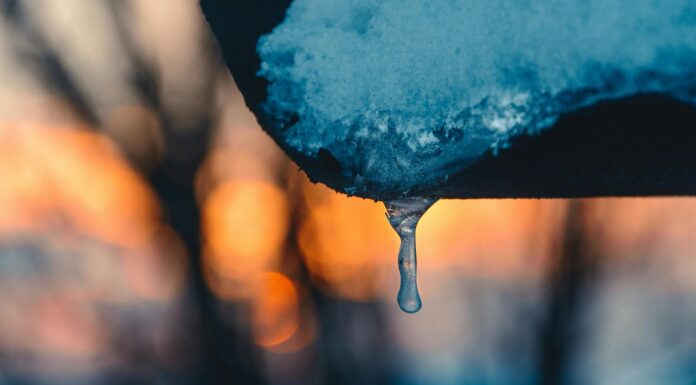 Inviernos más cortos por el cambio climático