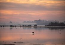 Parque Nacional de Doñana en riesgo
