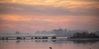 Parque Nacional de Doñana en riesgo