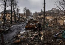 Grave impacto ambiental de la guerra en Ucrania