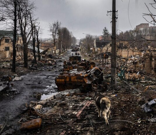 Grave impacto ambiental de la guerra en Ucrania