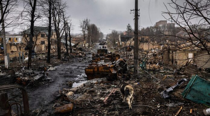 Grave impacto ambiental de la guerra en Ucrania