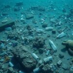 Avalanchas submarinas o corrientes de turbidez arrastran masas de microplásticos a gran profundidad
