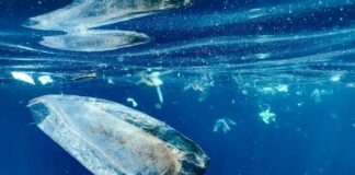 Contaminación por microplásticos: proyección alarmante a 2060