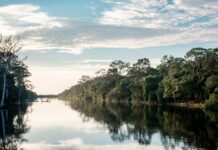 Deforestación en la Amazonia
