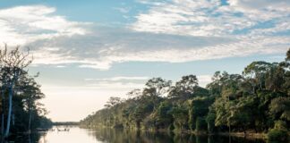 Deforestación en la Amazonia