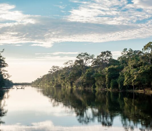 Deforestación en la Amazonia