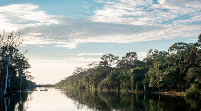Deforestación en la Amazonia