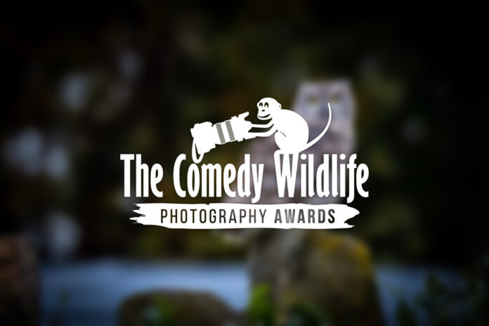 'Comedy Wildlife. Premios de Fotografía' 'Comedy Wildlife. Premios de Fotografía'