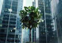 El impacto de los bancos en el cambio climático