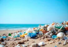 Contaminación marina en Canarias: basura transoceánica y proyecto RBMar