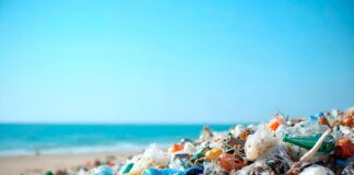 Contaminación marina en Canarias: basura transoceánica y proyecto RBMar