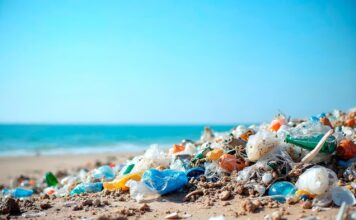 Contaminación marina en Canarias: basura transoceánica y proyecto RBMar