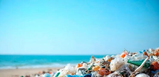 Contaminación marina en Canarias: basura transoceánica y proyecto RBMar