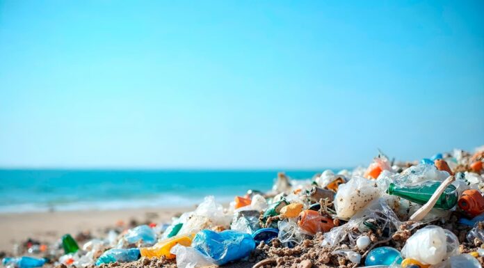 Contaminación marina en Canarias: basura transoceánica y proyecto RBMar
