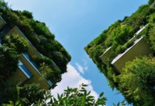 Adaptación climática en ciudades