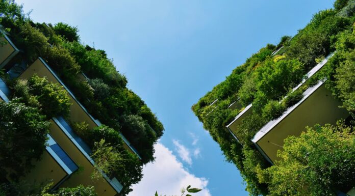 Adaptación climática en ciudades
