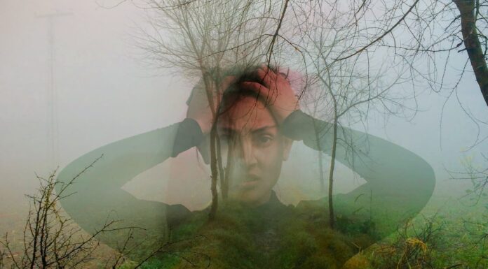 Ecoansiedad
