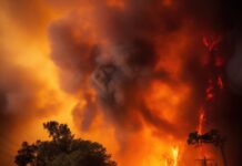 Incendios forestales