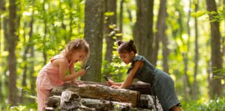 La terapia de naturaleza impulsa el bienestar infantil