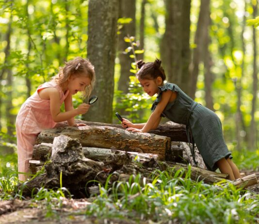La terapia de naturaleza impulsa el bienestar infantil