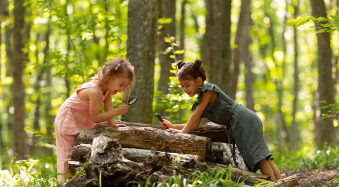 La terapia de naturaleza impulsa el bienestar infantil