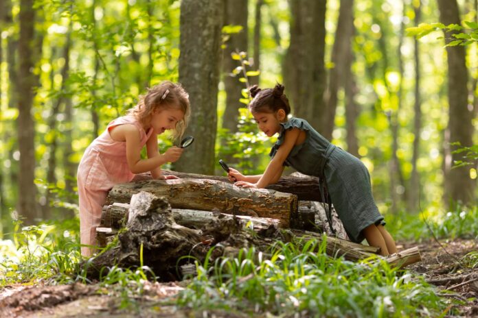 La terapia de naturaleza impulsa el bienestar infantil La terapia de naturaleza impulsa el bienestar infantil