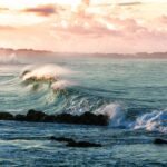 La acidez oceánica incrementa un 26%