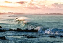 La acidez oceánica incrementa un 26%