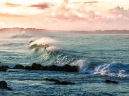La acidez oceánica incrementa un 26%