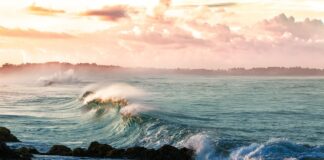 La acidez oceánica incrementa un 26%