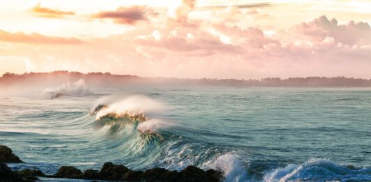 La acidez oceánica incrementa un 26%