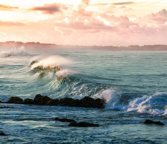 La acidez oceánica incrementa un 26%