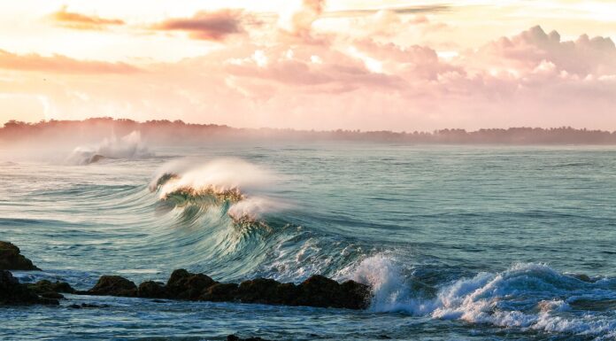 La acidez oceánica incrementa un 26%