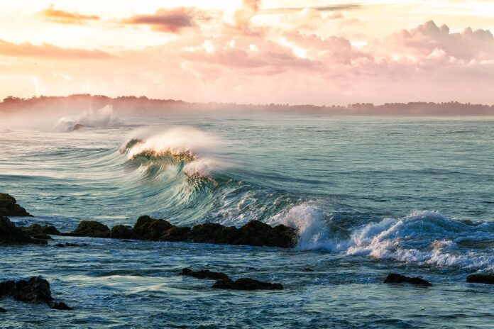 La acidez oceánica incrementa un 26% La acidez oceánica incrementa un 26%