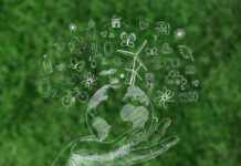 Proyectos ecológicos locales