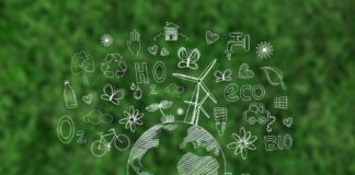 Proyectos ecológicos locales